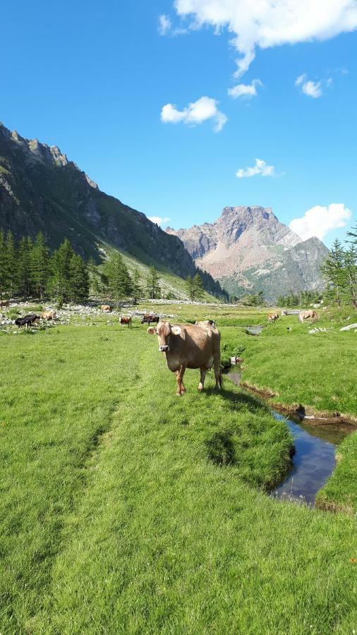 La Piana Appartamenti Alpe Devero Exterior foto